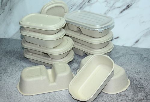 植物纤维纸浆制品分类及其在厨卫日用领域的应用 聚焦一次性可降解模塑产品的优势与挑战